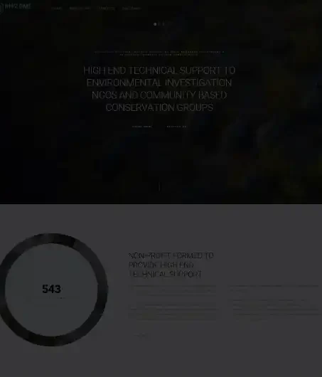 Rhizome Insights