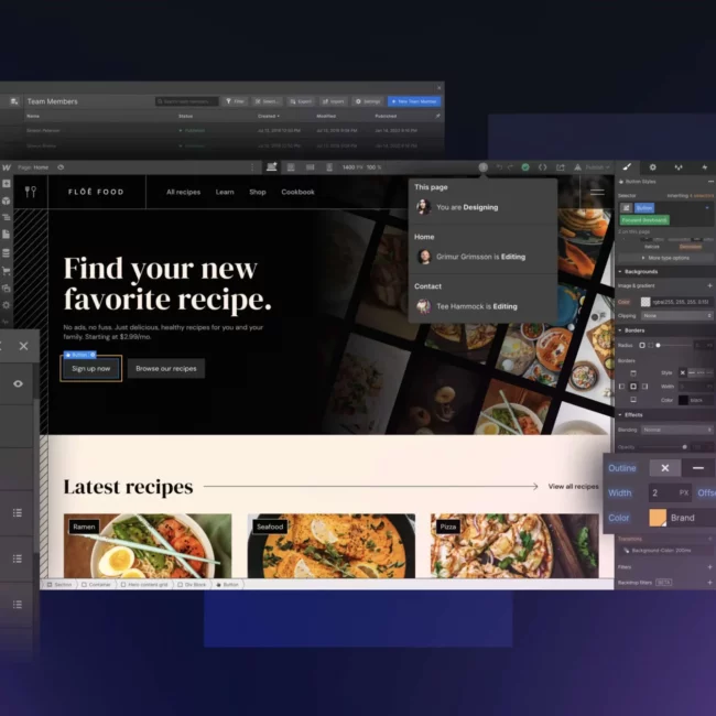 Webflow