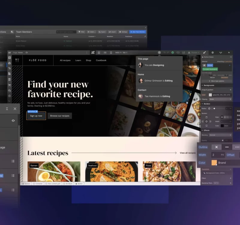 Webflow